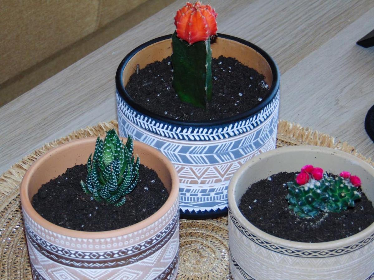 The Orange Cactus Apartment Sparta Exterior photo